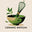 ceramicmatcha.com favicon